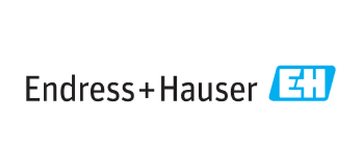 Endress+Hauser logo